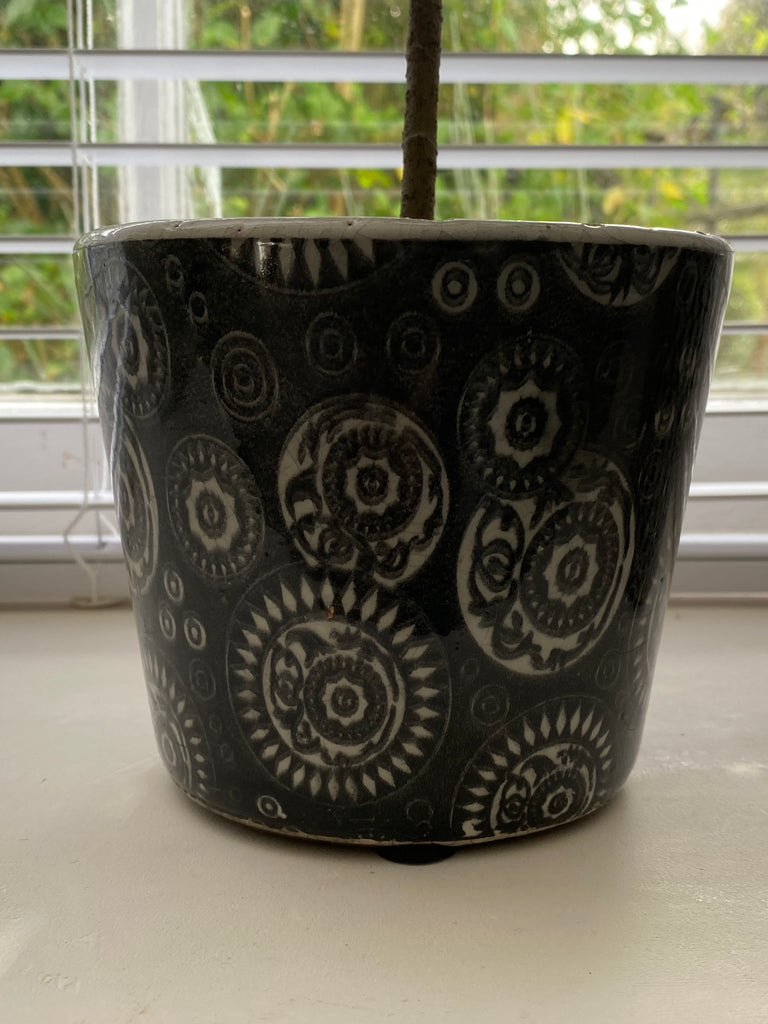 black ceramic plant pots indoor Dutch style Black Indoor or Outdoor Plant Pots
