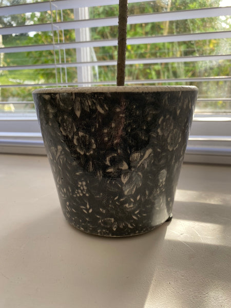 Dutch style Black Indoor or Outdoor Plant Pots