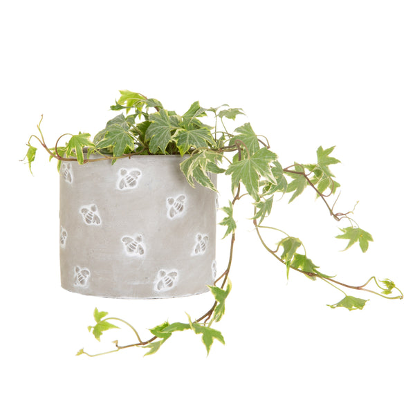 Embossed Bee Cement Planter - Medium (H11cm x D12cm)