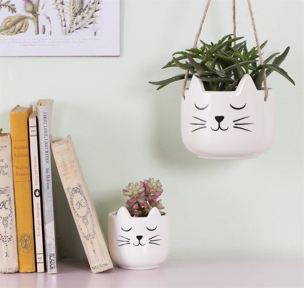 Cat’s Whiskers Mini Ceramic Pot